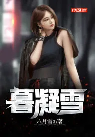 《暮凝雪》小说封面