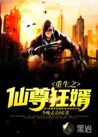 《重生之仙尊狂婿》小说封面