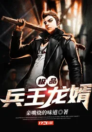 《极品兵王龙婿》小说封面