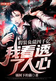 《假装负债四千亿，我看透了人心》小说封面