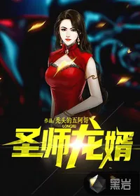 《圣师龙婿》小说封面