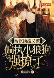 《娇软顶流又被偏执小狼狗强撩了》小说封面