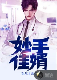《妙手佳婿》小说封面