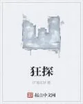 《狂探》小说封面