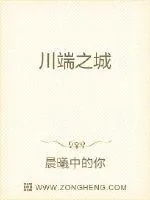 《川端之城》小说封面