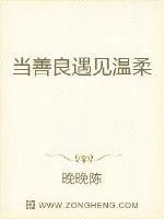 《当善良遇见温柔》小说封面