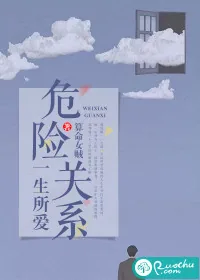 《危险关系:一生所爱》小说封面