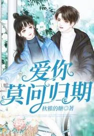 《爱你莫问归期》小说封面