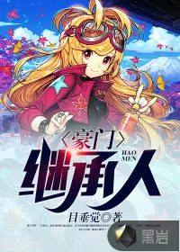 《豪门继承人》小说封面