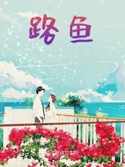《路鱼》小说封面