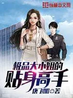 《极品大小姐的贴身高手》小说封面