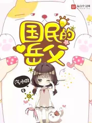 《国民的岳父》小说封面