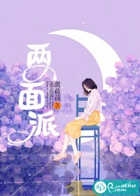 《两面派》小说封面