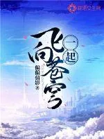 《一起飞向苍穹》小说封面