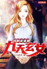 《我的老婆是九天玄女》小说封面