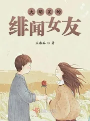 《大明星的绯闻女友》小说封面