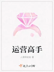 《运营高手》小说封面