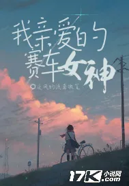 《我亲爱的赛车女神》小说封面