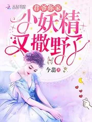 《君爷你家小妖精又撒野了》小说封面
