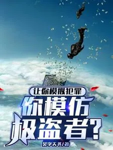 《让你模拟犯罪，你模仿极盗者？》小说封面