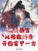 《边关暴雪，从拯救娇妻开始富甲一方》小说封面