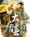 《大唐春》小说封面