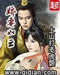 《娇妻如云》小说封面