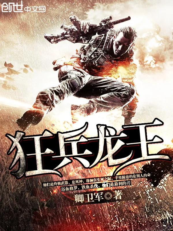 《狂兵龙王》小说封面