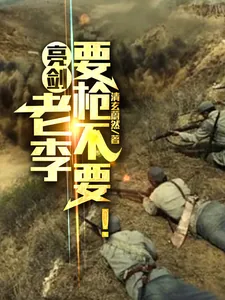 《亮剑：老李要枪不要！》小说封面