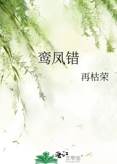 《鸾凤错》小说封面