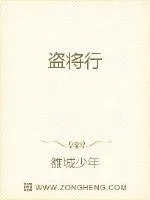 《盗将行》小说封面