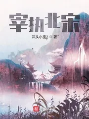 《宰执北宋》小说封面
