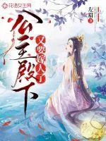 《公主殿下又要嫁人了》小说封面