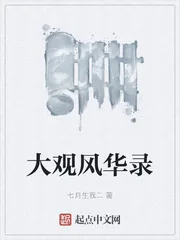 《大观风华录》小说封面