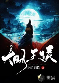 《大明王侯》小说封面