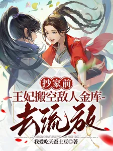 《抄家前,王妃搬空敌人金库去流放》小说封面