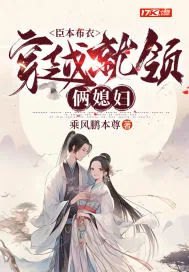 《臣本布衣，穿越就领俩媳妇》小说封面