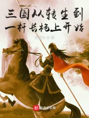 《三国从转生到一杆长枪上开始》小说封面