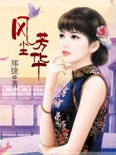 《风尘芳华》小说封面