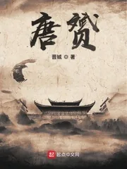 《唐赟》小说封面