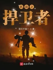 《抗战之捍卫者》小说封面