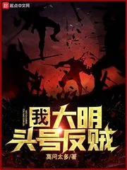 《我，大明头号反贼》小说封面