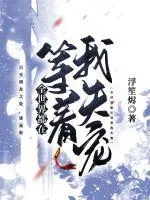 《全世界都在等着我失宠》小说封面