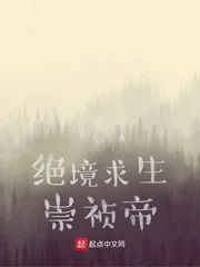 《绝境求生崇祯帝》小说封面
