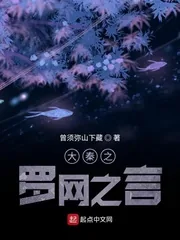 《大秦之罗网之言》小说封面