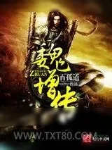 《魏增传》小说封面