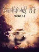 《红楼贾府》小说封面