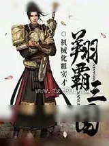 《翔霸三国》小说封面