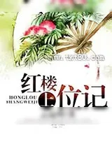 《红楼上位记》小说封面