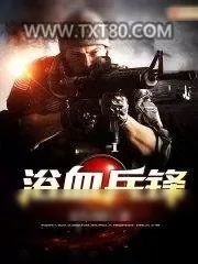 《浴血兵锋》小说封面